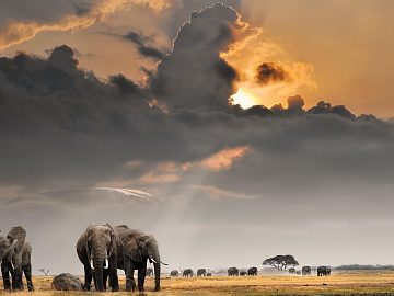 Zdjęcie kierunku: Nairobi